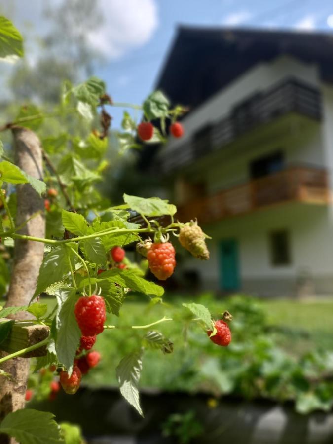The Riverside Chill Hostel 블레드 외부 사진