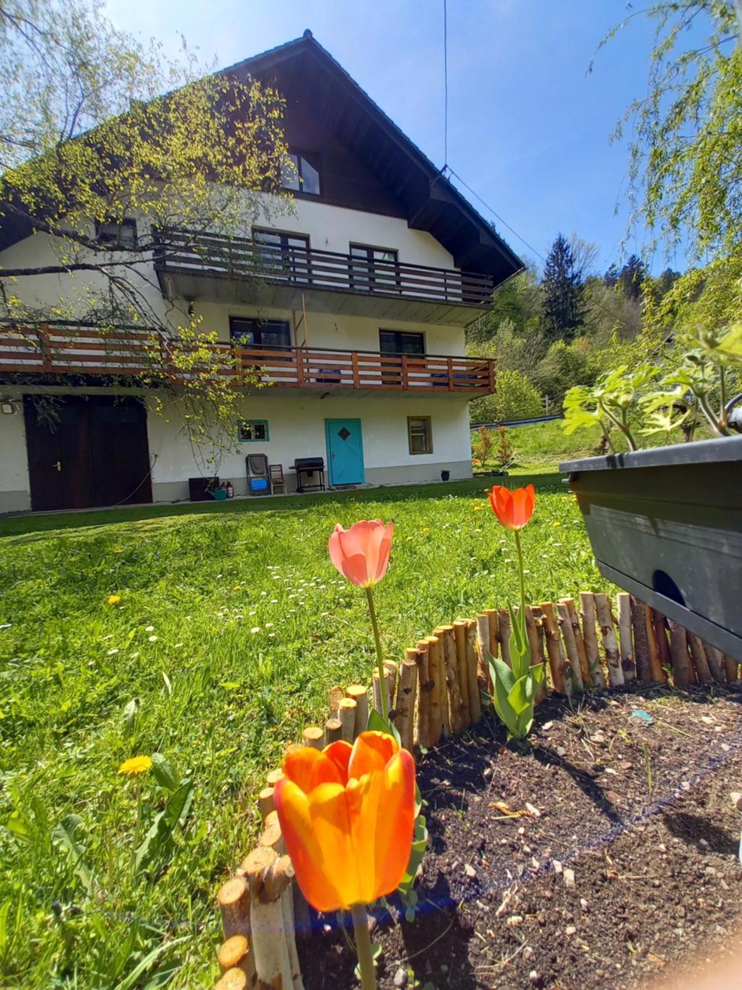 The Riverside Chill Hostel 블레드 외부 사진